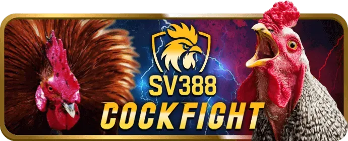 Cá cược bóng rổ 9win